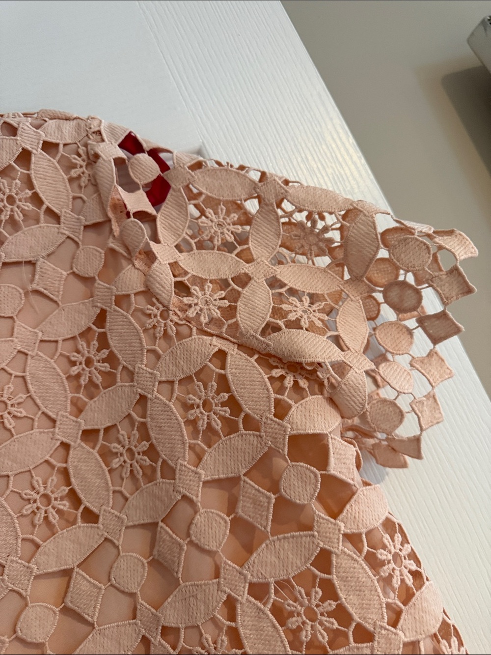 Sugarlips Pale Blush Lace Short Sleeve Top - Picture 4 of 5